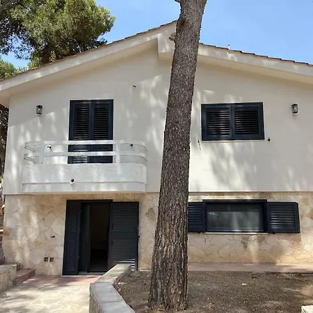 Apartment Amiche Del Mare